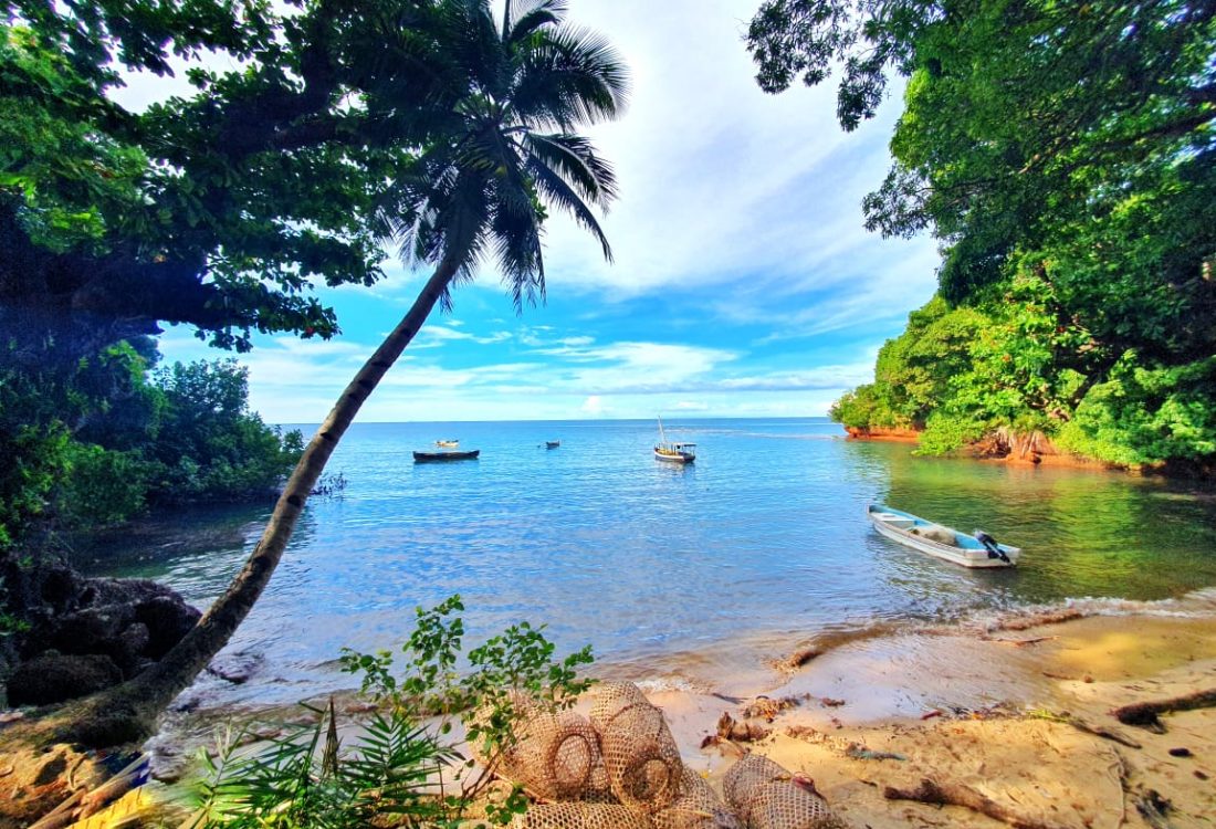 WhatsApp Image 2024-04-11 at 12.24.19