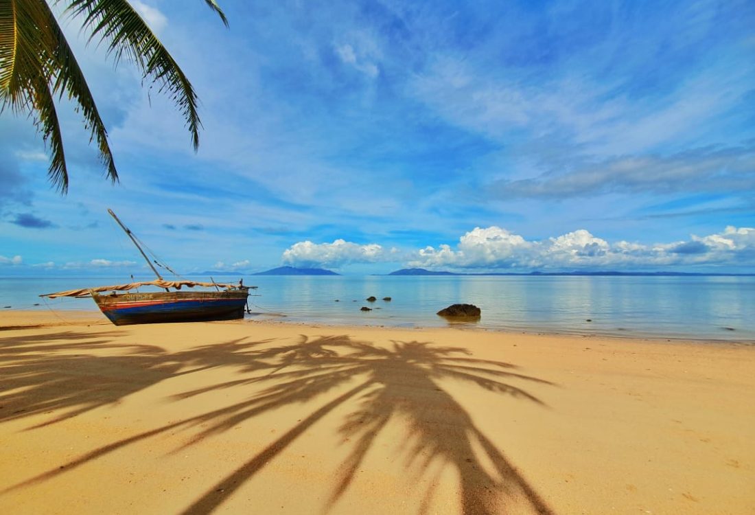 WhatsApp Image 2024-04-11 at 12.25.00 (1)