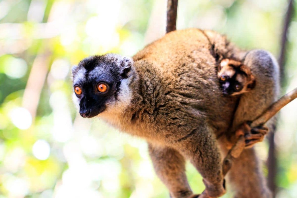 alina-trips-Eric-Excursions-bateau-nosy-komba-nosy-be-sortie-bateau (4)