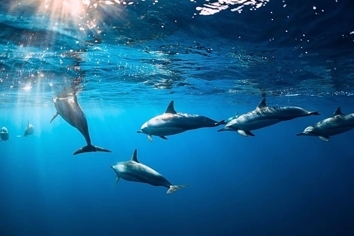 alina-trips-Eric-Excursions-bateau-nosy-komba-nosy-be-sortie-bateau (5)