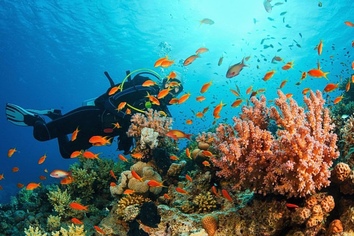 alina-trips-Eric-Excursions-bateau-nosy-komba-nosy-be-sortie-bateau (8)